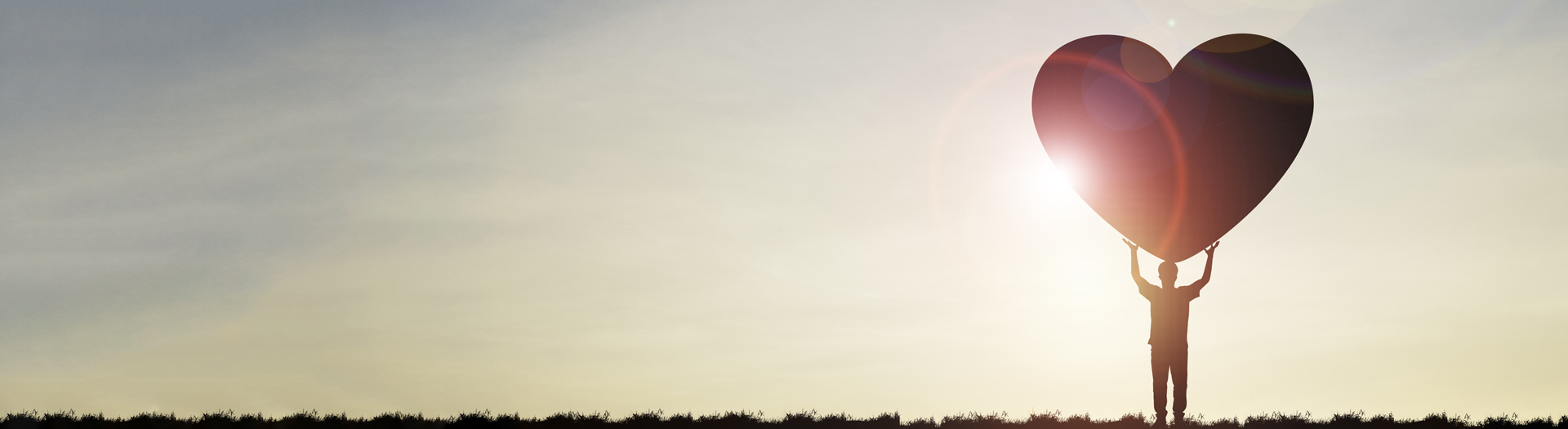 Pomoc charitatívnym organizáciám od msg life