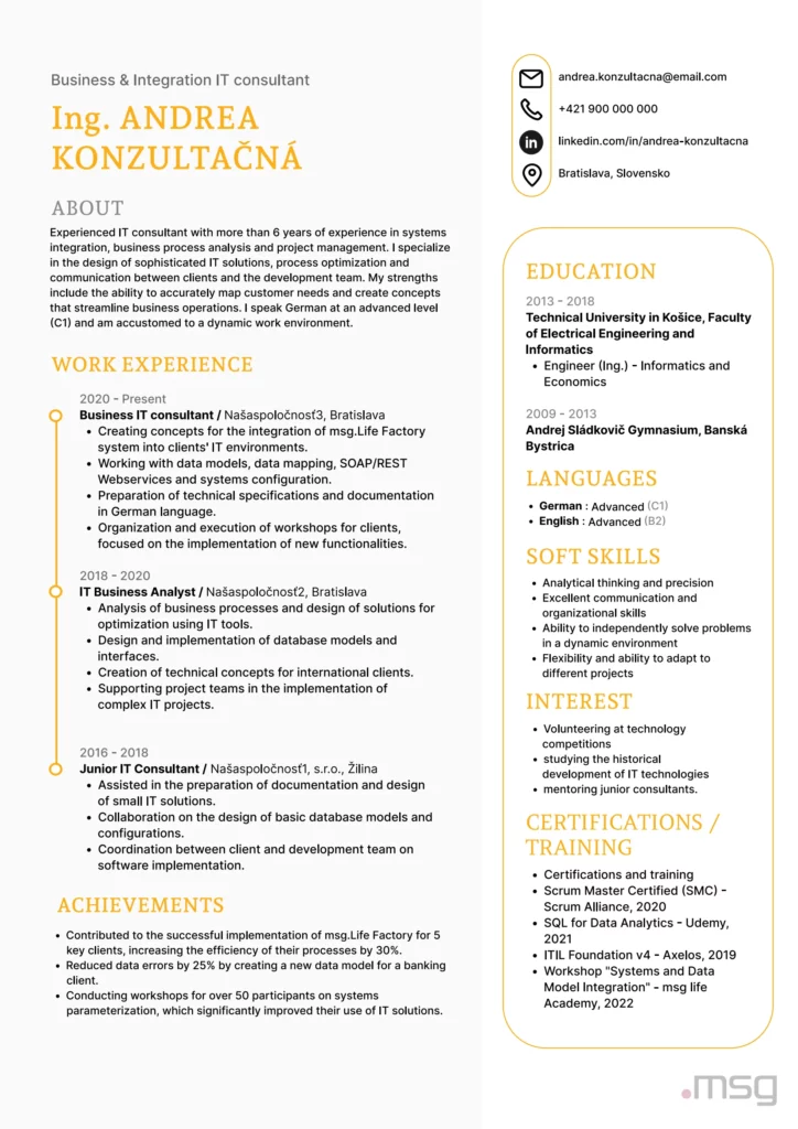 Vzor chronologického CV